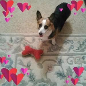 Meet your Posher, Patricia